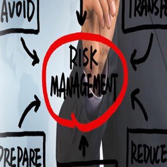 risk management online