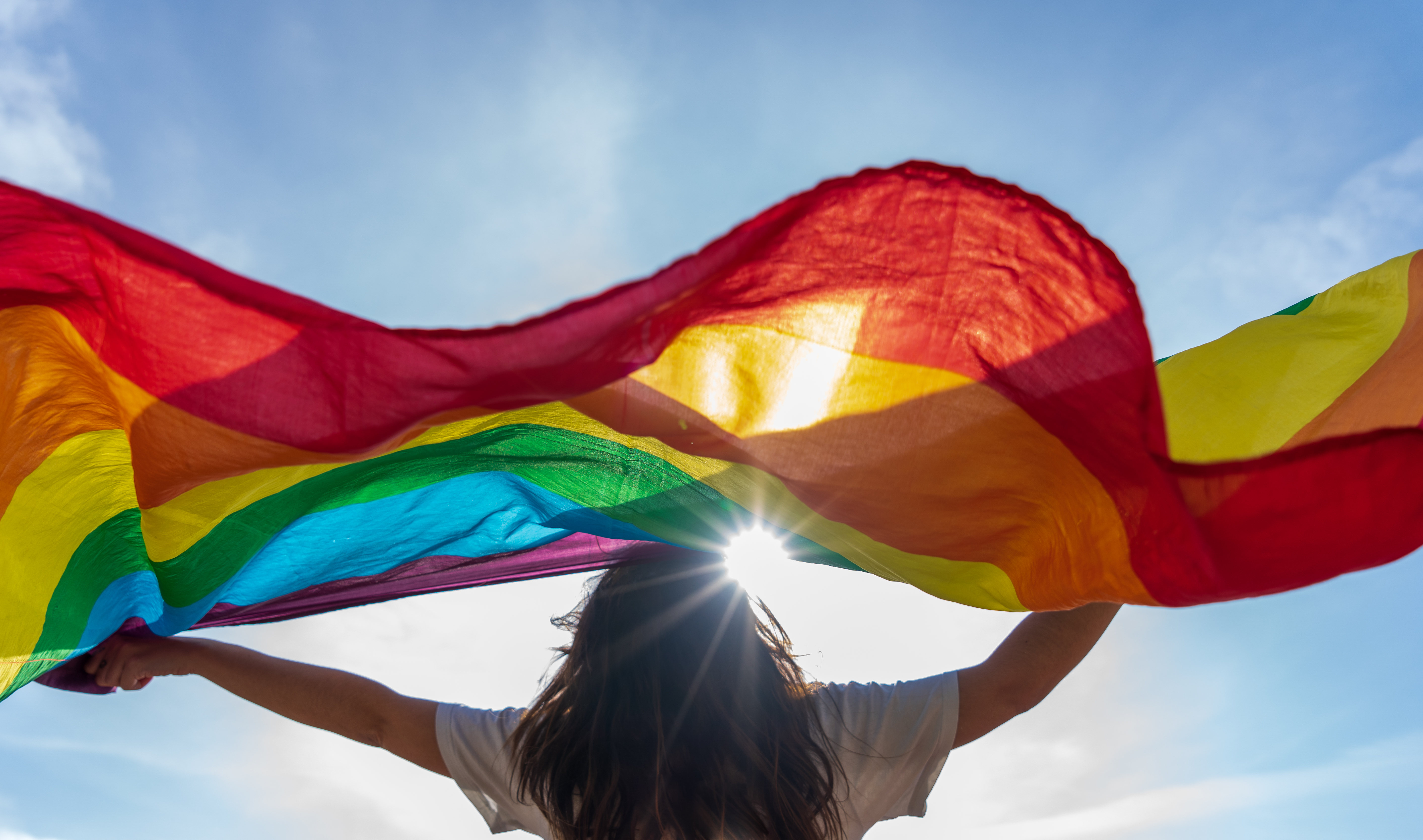 LGBTIQA+ Awareness in the Workplace course online