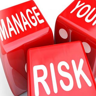 risk assessment online
