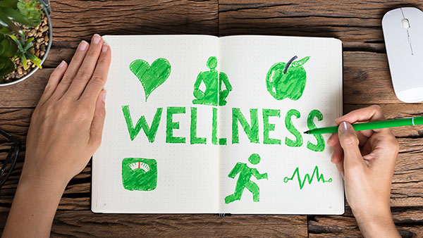 healthcare online courses healthcare online courses