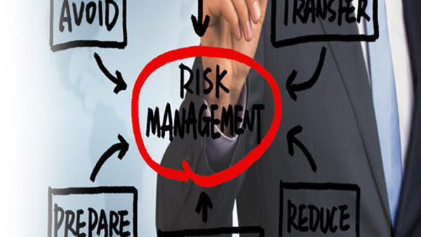 risk management course online