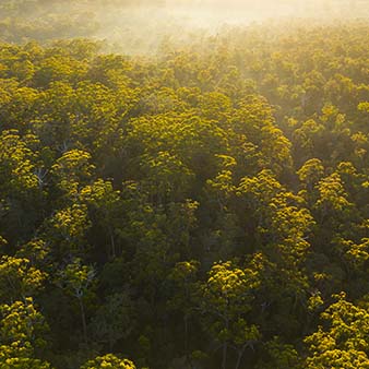 environmental awareness